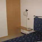 Puugnochiuso Pausamare