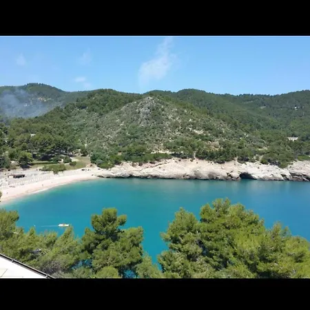 Puugnochiuso Pausamare